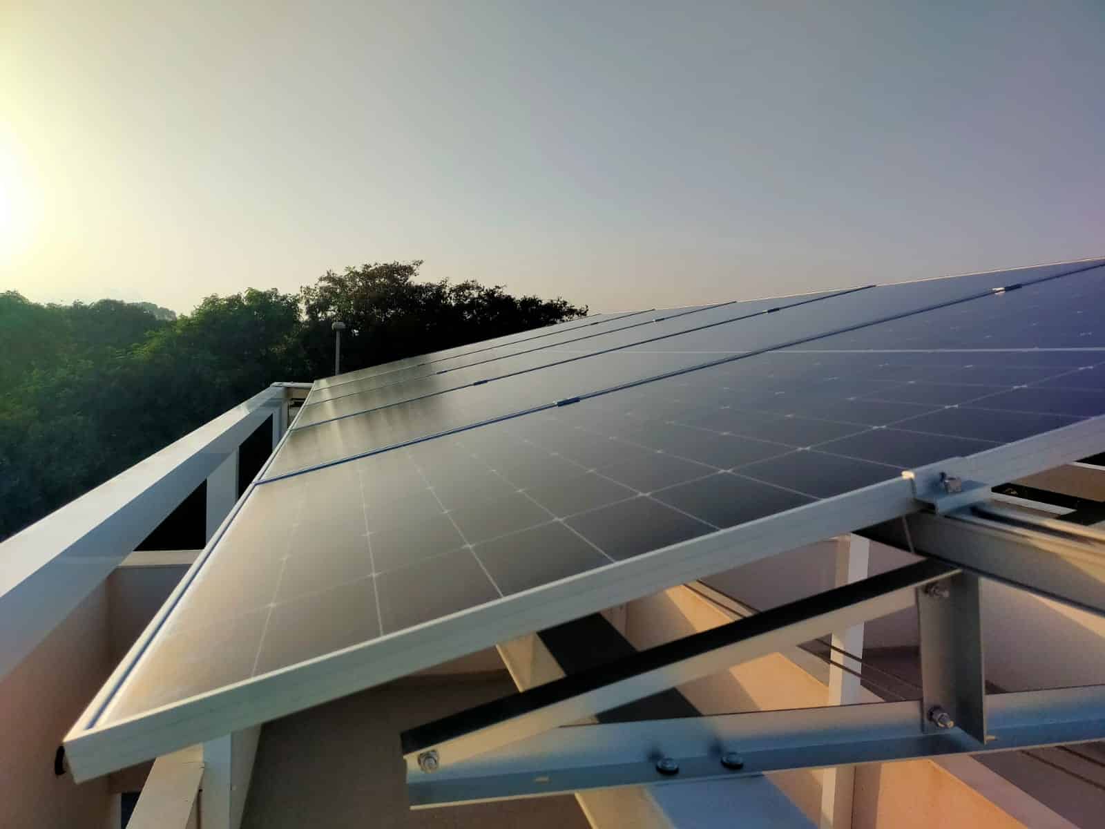 Solar panels in the evening light